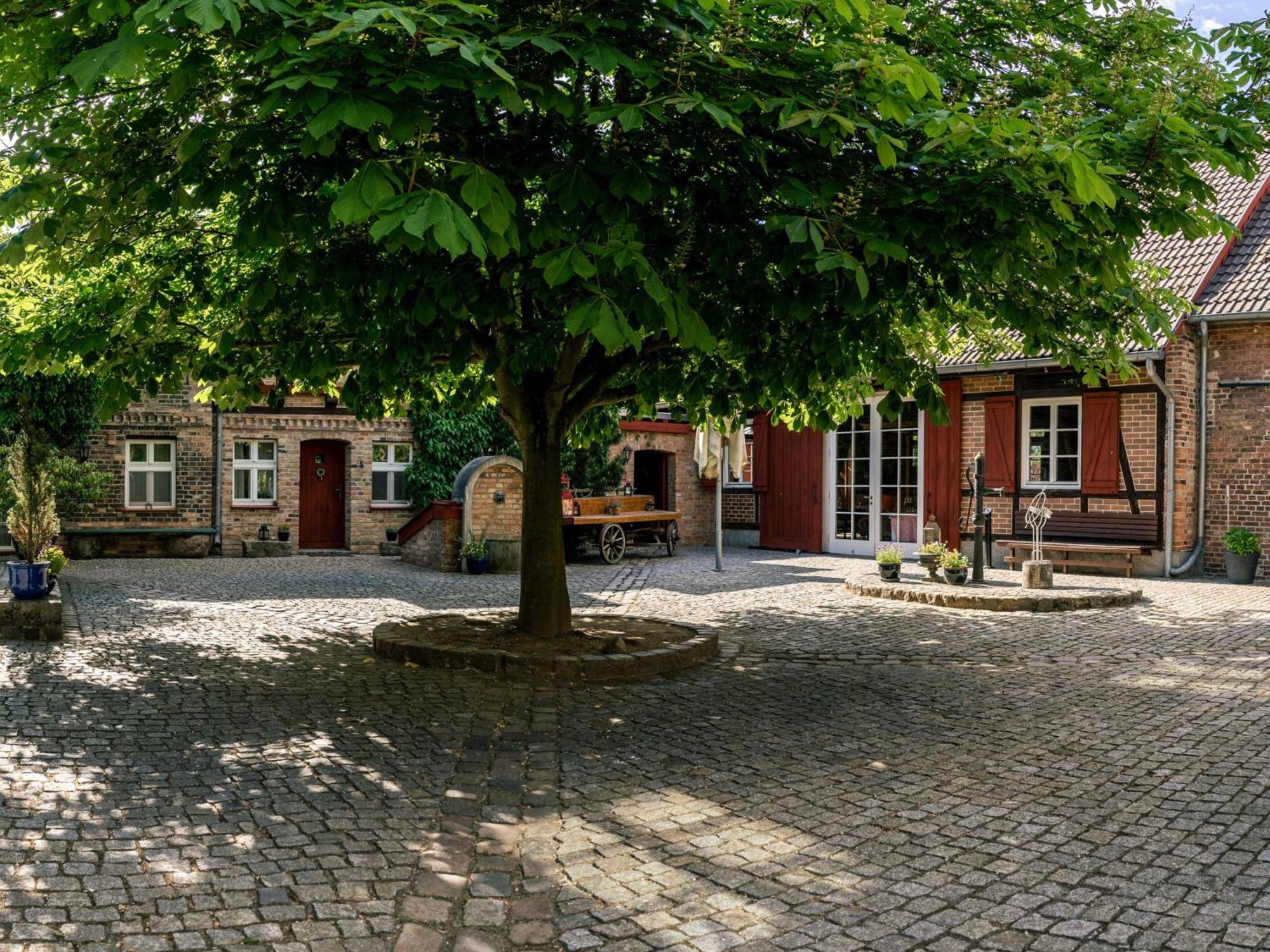 Landhaus Alte Schmiede Niemegk  Luaran gambar